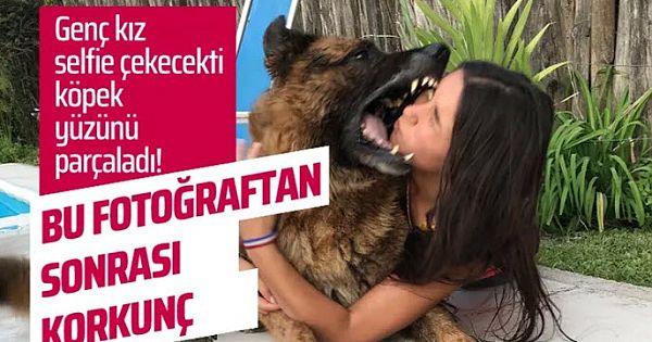 Son hali dehşete düşürdü Köpekle selfie çekmek isteyen kızın acı sonu