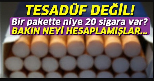 İçinde Neden 20 Dal Var?