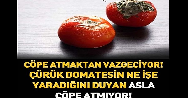 Bunu Okuduktan Sonra Çürümüş Domatesleri Bir Daha Atmayacaksınız!