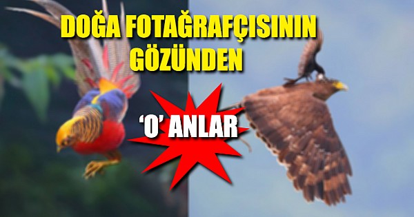 DOĞADA 'O' ANLAR