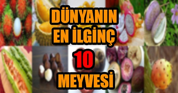 Dünyanın En İlginç 10 Meyvesi