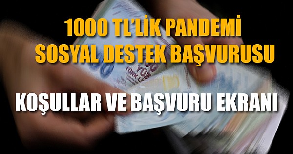 e-Devlet'te 1000 TL'lik Pandemi Sosyal Destek Ön Başvuruları Başladı: Nasıl Başvuru Yapılır?