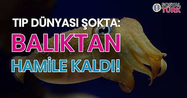 Şok Olay: Yediği Balıktan Hamile Kaldı