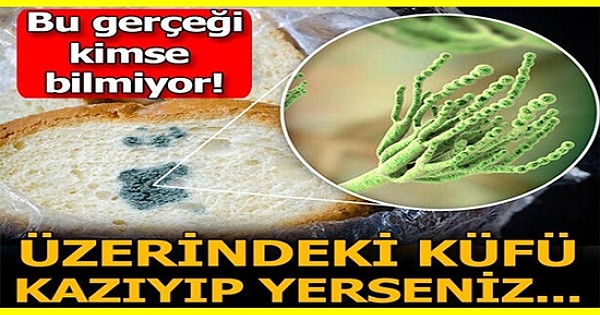 Yanlışlıkla küf yersek ne olur? - Küfü attıktan sonra yiyebilir miyiz?