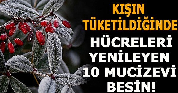 Kışın tüketildiğinde hücreleri yenileyen 10 mucizevi besin!