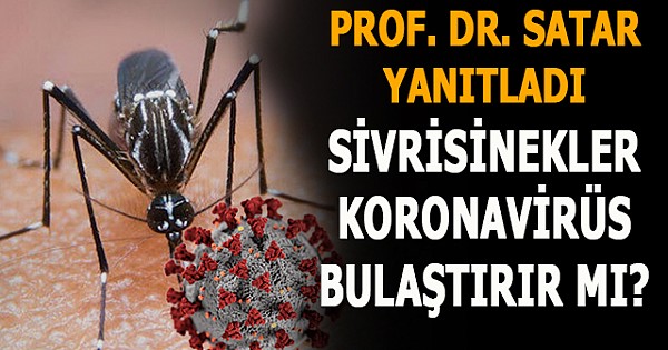 Prof. Dr. Satar: Sivrisineklere karşı önlem alınmalı, insandan insana virüs bulaştırırlar