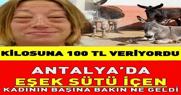 Antalya'da kilosu 100 liradan eşek sütü alıp içen kadın ölümden döndü