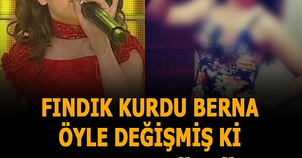 Fındık kurdunun son hali