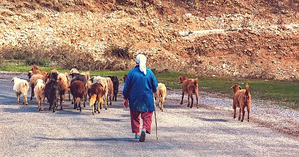 Aysun Kayacı bugün sosyal medyada gündem oldu