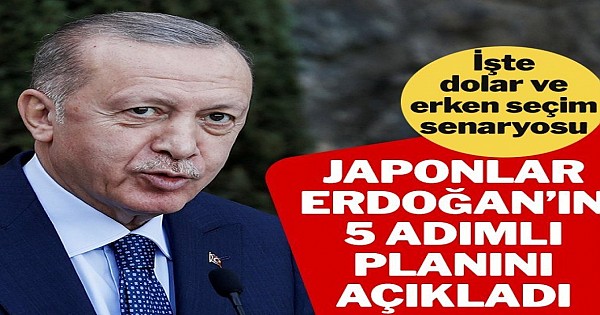 Japonlar Erdoğan'ın 5 adımlı planını açıkladı