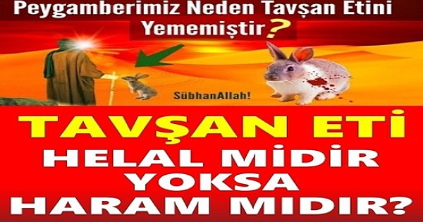 TAVŞAN ETİ YEMEK HELAL MİDİR? HARAM MI ?