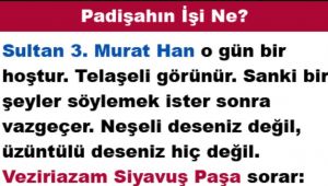 PADİŞAHIN İŞİ NE