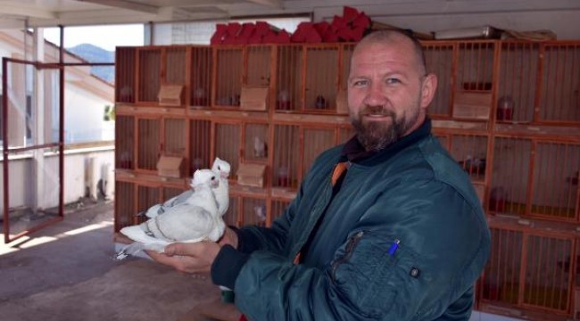 Marmarisli turizmcinin güvercin aşkı sınırları aştı