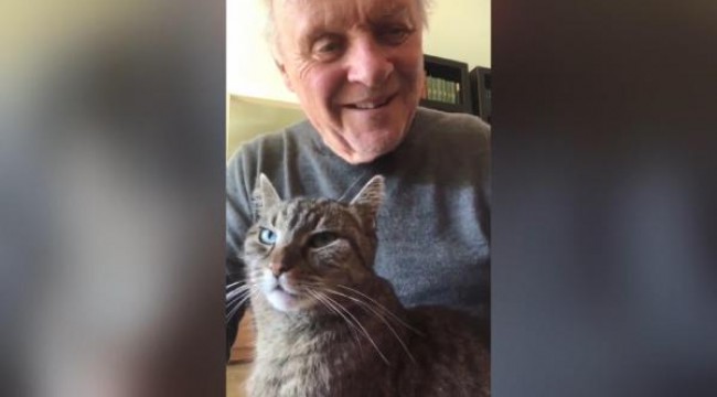 Anthony Hopkins karantinada kedisine piyano çaldı