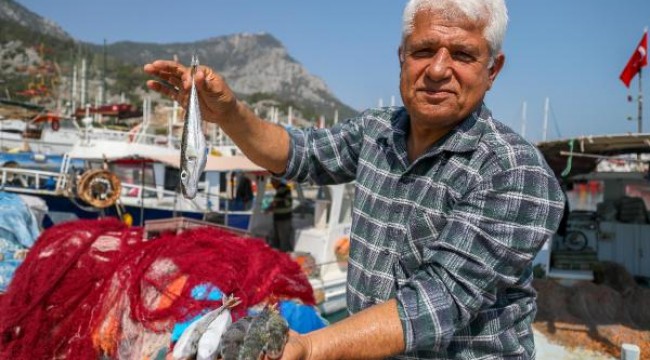 Balon balığıyla mücadelede, 'Kuyruğunu getir 5 lira al' projesi balıkçıları sevindirdi