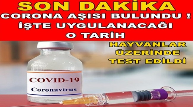 CORONA 'YA ÇARE BULUNDU ! İŞTE AŞININ İNSANLAR ÜZERİNDEN DENENECEĞİ O TARİH