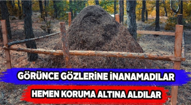 Görünce Gözlerine İnanamadılar Hemen Koruma Altına Aldılar