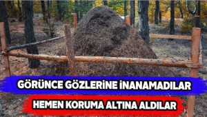 Görünce Gözlerine İnanamadılar Hemen Koruma Altına Aldılar