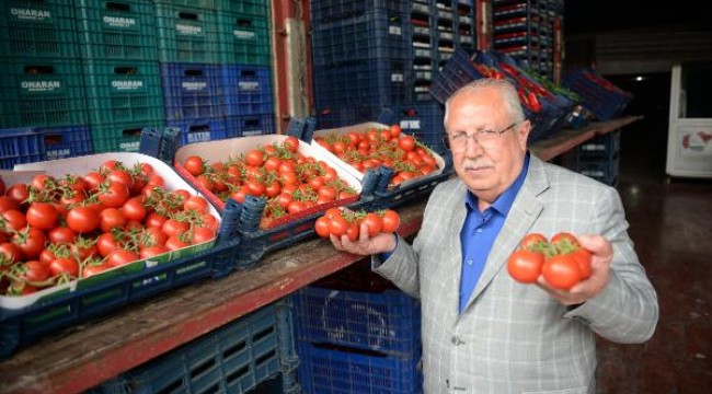 Halde domatesin fiyatı düştü, limonun fiyatı arttı