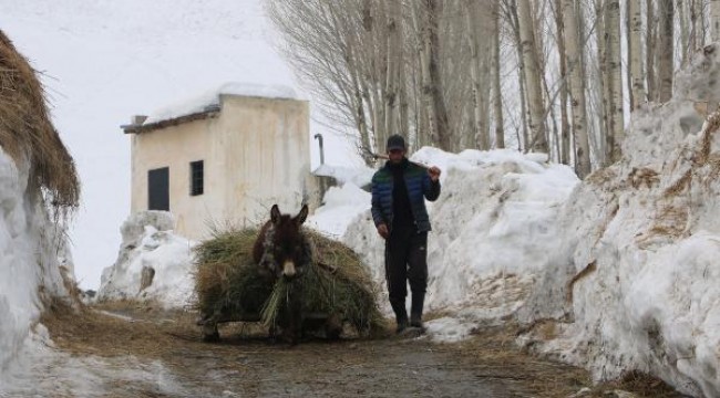 Hayvanlarını meraya çıkaramayan Yüksekovalı besicilerin yem sıkıntısı