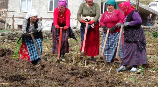 Karadenizli kadınlar, 'koronavirüs'ten güçlü bağışıklıklarıyla korunuyor