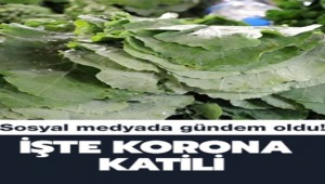 Korona katili mancar yemeğinin tarifi 