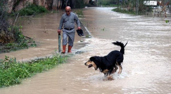 Limonlu Deresi'nde su taşkını sürüyor