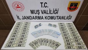 Muş'ta 9 bin 700 adet sahte 100 dolar ele geçirildi