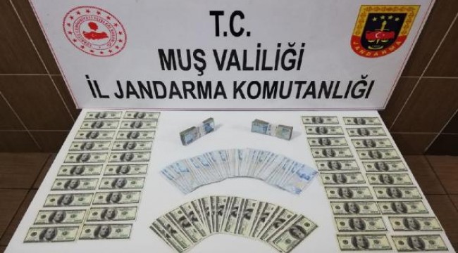 Muş'ta 9 bin 700 adet sahte 100 dolar ele geçirildi