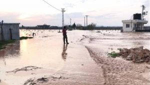 Nizip ve Karkamış'ta sel tarım arazilerinde hasara yol açtı