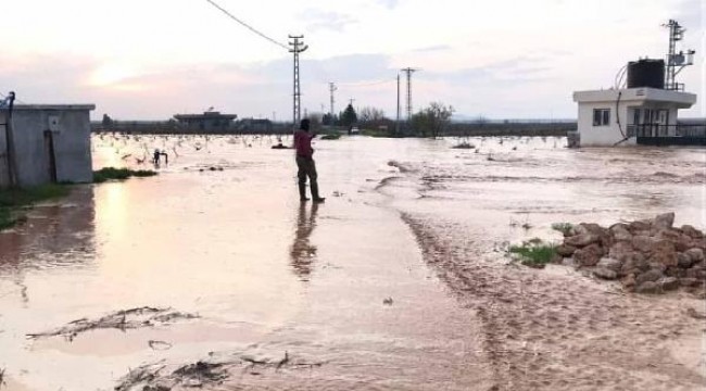 Nizip ve Karkamış'ta sel tarım arazilerinde hasara yol açtı