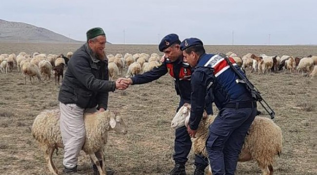 Rusya uyruklu, Eskişehir'de 'koyun hırsızlığı'ndan gözaltında