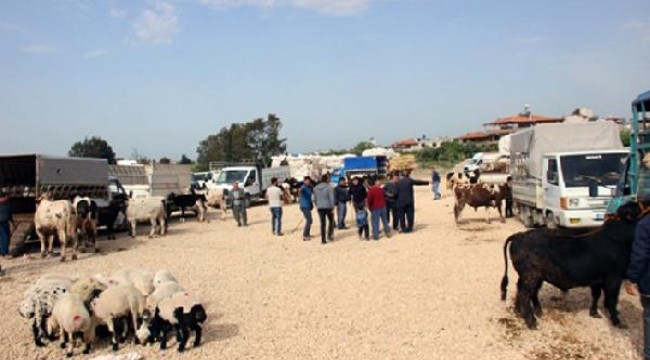 Samandağ'da hayvan, oto ve semt pazarları kurulmayacak