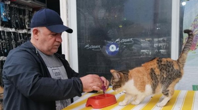 Sokak kedileri için dükkanını kapatmıyor