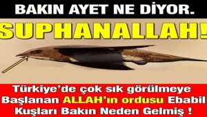 Son günlerde Sürekli görülen Allah'ın Ordusu Ebabiller bakın Türkiye'ye Neden Gelmiş !