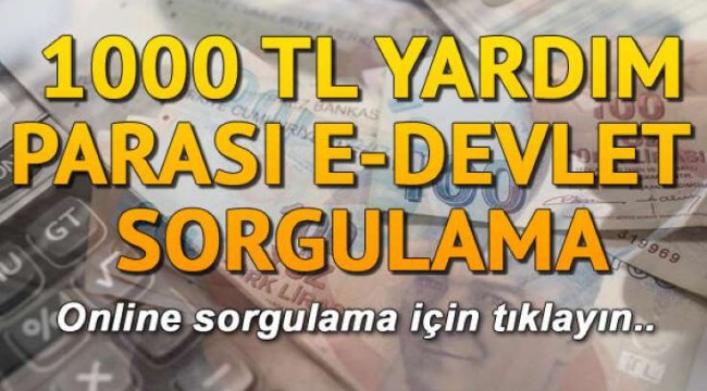 1000 TL sosyal yardım E-Devlet sorgulama ekranı.. Kimler yardımdan otomatik faydalanacak