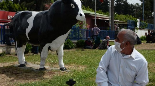 Adana'da Et ve Süt Kurumu önünde yoğunluk Genel