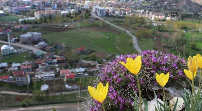 Baharla birlikte dağlar renklendi