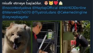 Balkonda aç kalan köpeğe itfaiye merdiveni ile yiyecek