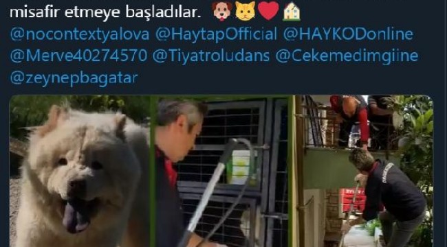 Balkonda aç kalan köpeğe itfaiye merdiveni ile yiyecek