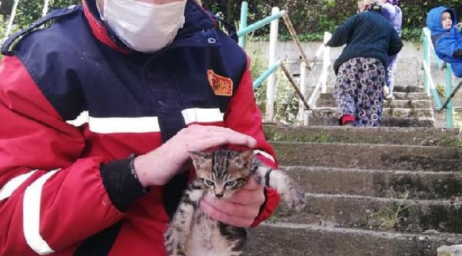 Boruda sıkışan yavru kedi kurtarıldı