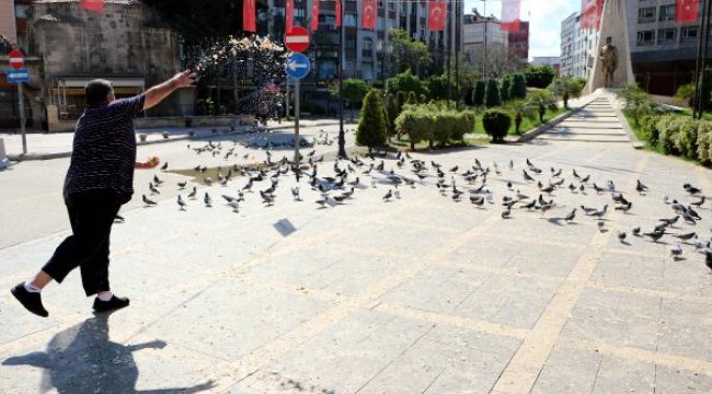 Boş meydandaki güvercinleri, fırıncı besledi