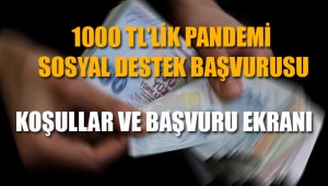 e-Devlet'te 1000 TL'lik Pandemi Sosyal Destek Ön Başvuruları Başladı: Nasıl Başvuru Yapılır?