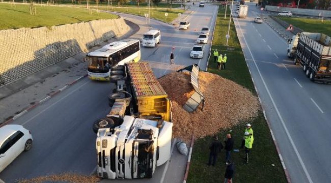 Kontrolden çıkan TIR devrildi, dorsesindeki talaş yola saçıldı