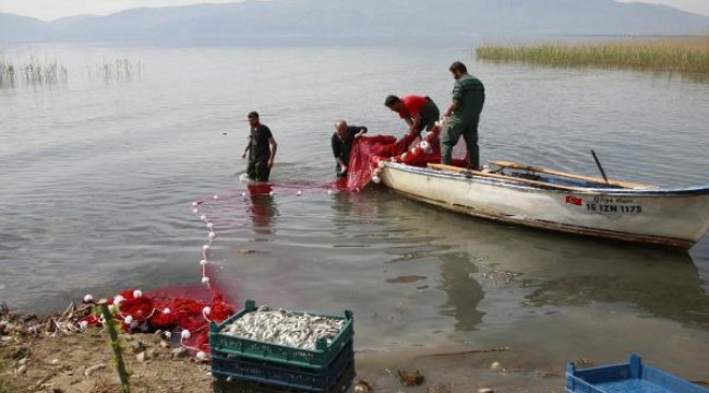 Koronavirüs pandemi, gümüş balığı fiyatlarını da etkiledi