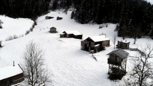 Koronavirüse karşı 'yayla' önlemi