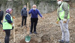 Ordu'da mahallelere, adına özgü fidan dikiliyor