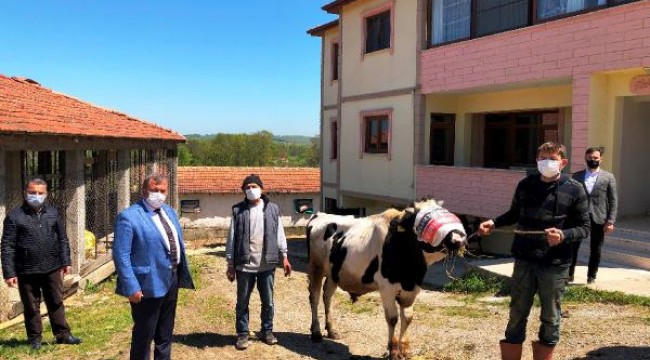 Salgın nedeniyle mevlit yapamayınca hayvanı satıp parasını kampanyaya bağışladı