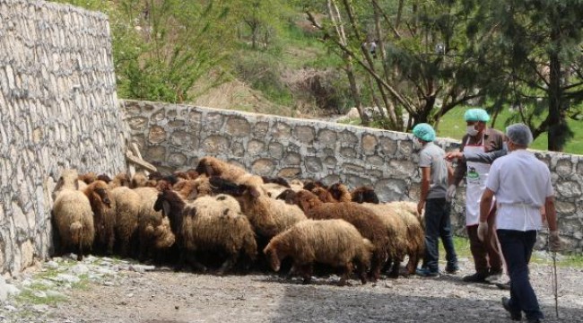 Şırnak'ta ihtiyaç sahiplerine ramazanda 8 ton et dağıtılacak