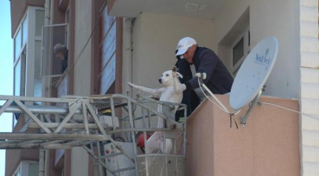 Sokağa çıkma yasağında evde unutulan köpeği itfaiye kurtardı